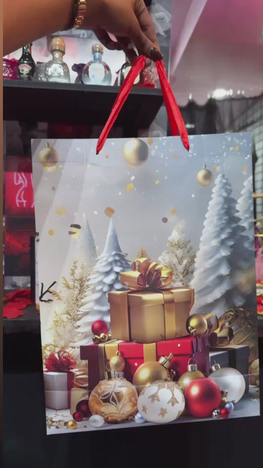 Christmas Gift Bag